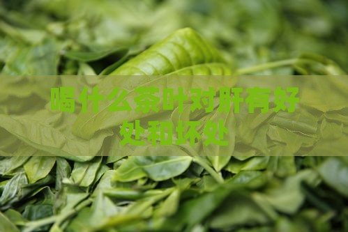 喝什么茶叶对肝有好处