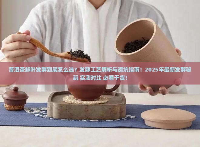 普洱茶鲜叶发酵
