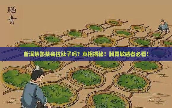 普洱茶熟茶会拉肚子么