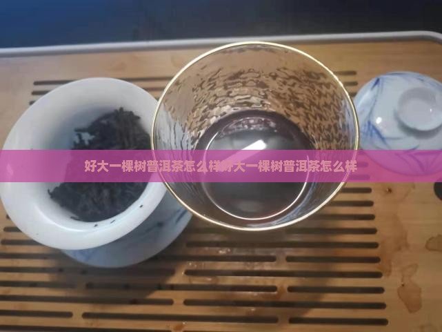 好大一棵树普洱茶怎么样