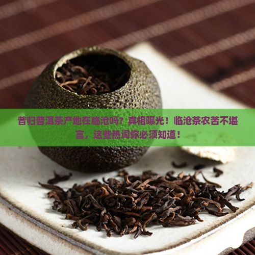 昔归普洱茶产地在临沧吗