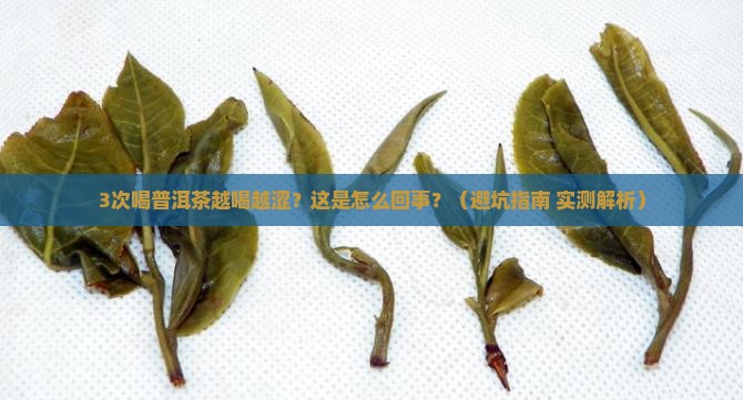 普洱茶越喝越涩怎么回事