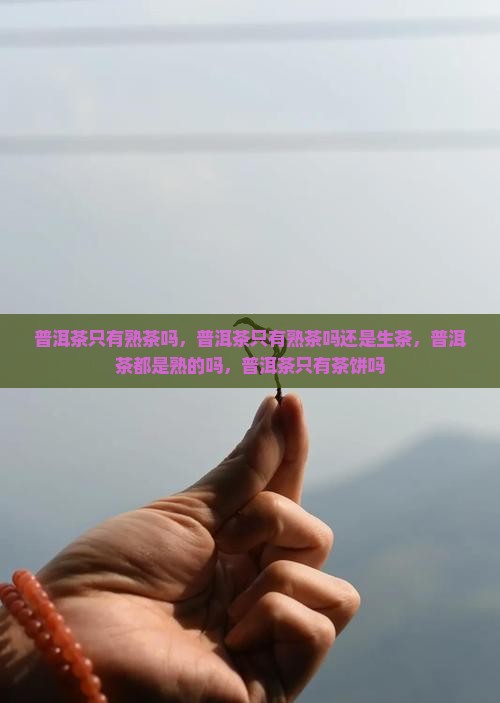 普洱茶只有熟茶吗