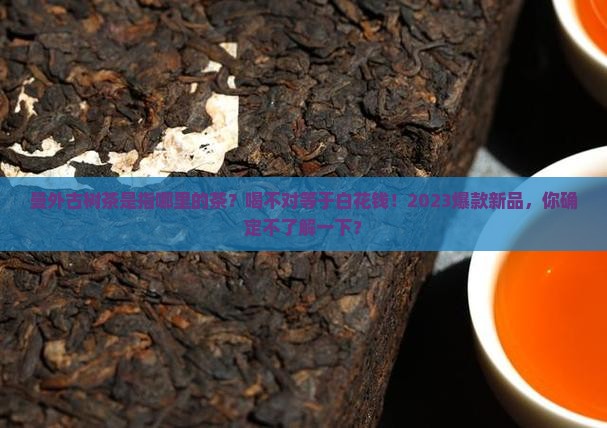 曼外古树茶是指哪里的茶