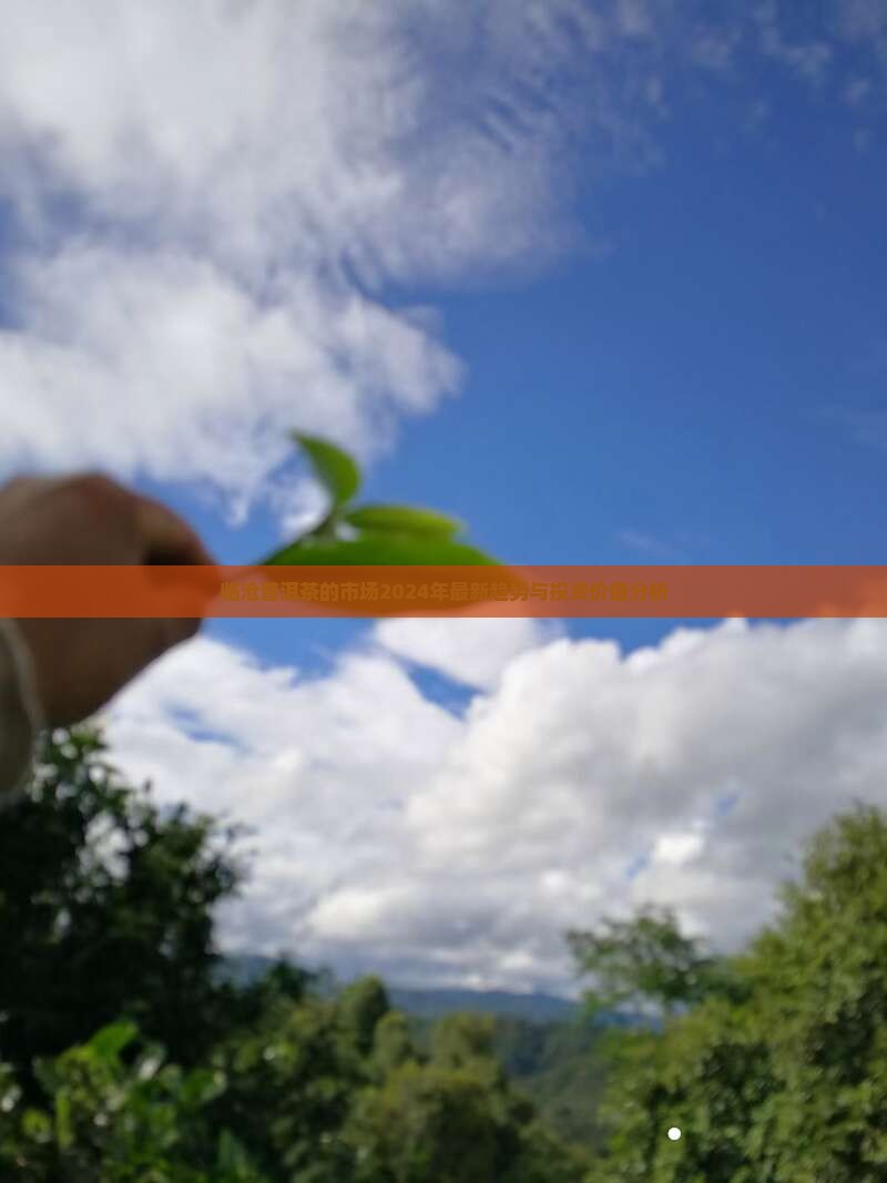 临沧普洱茶的市场