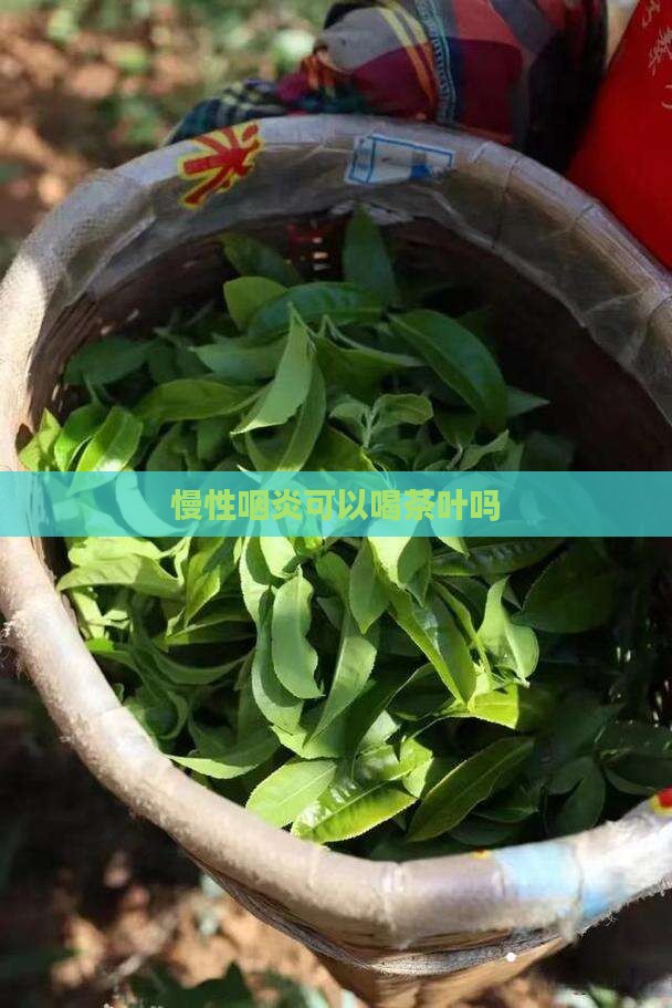 慢性咽炎可以喝茶叶吗