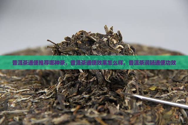 普洱茶通便推荐哪种