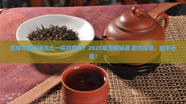 怎样能快速泡好普洱茶
