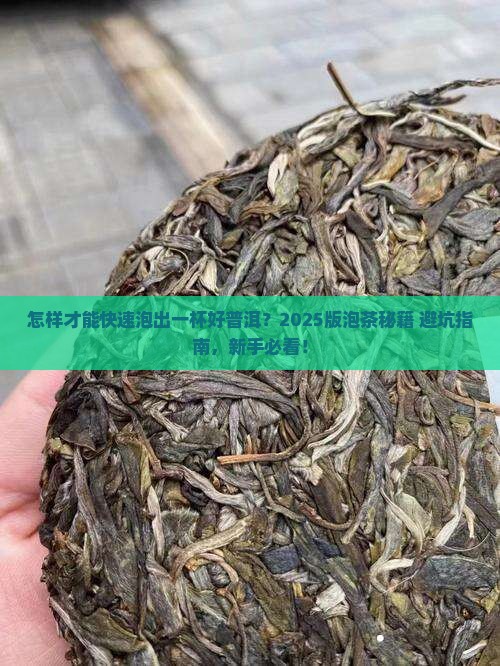 怎样能快速泡好普洱茶