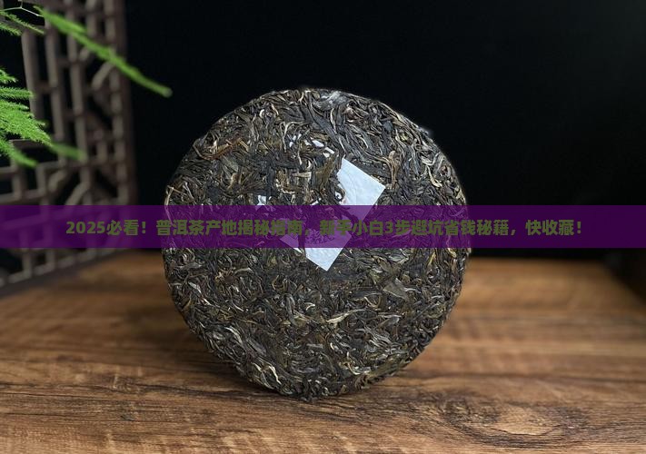 普洱茶是什么产地