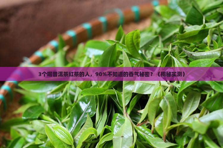 普洱茶红茶香气