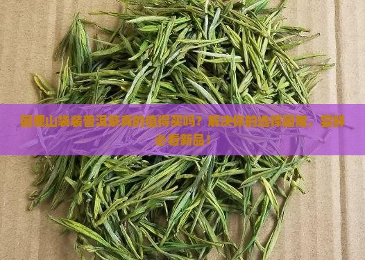 困鹿山袋装普洱茶