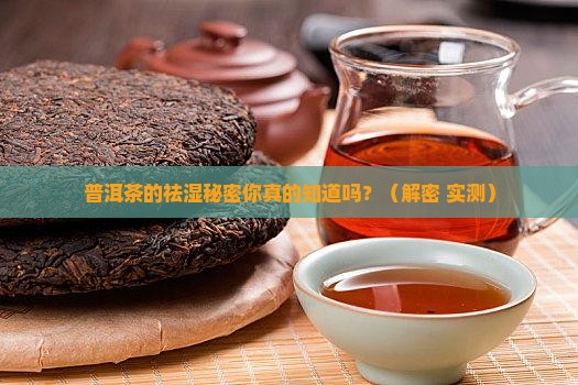 普洱茶的什么成分出祛湿