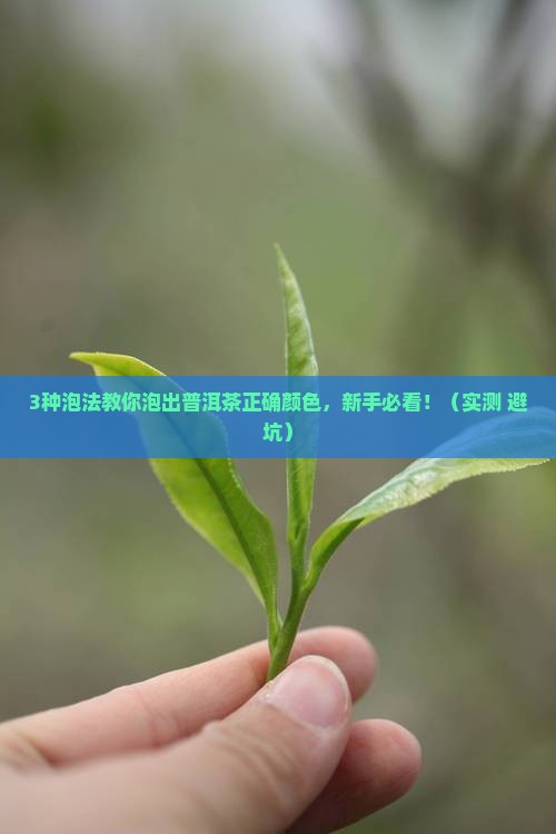 普洱茶怎么泡是什么颜色