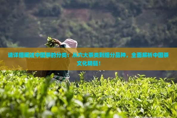 请详细阐述中国茶的分类