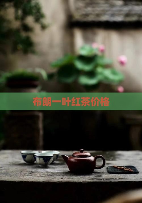 布朗山一叶红茶叶