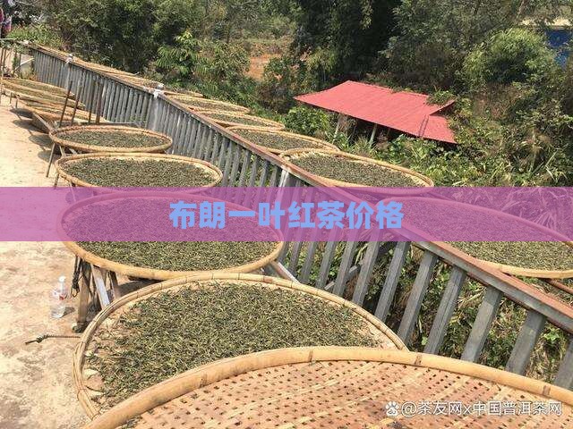 布朗山一叶红茶叶