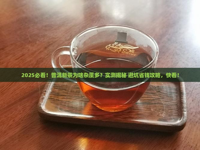普洱茶新茶杂质多