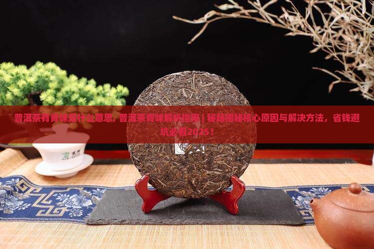 普洱茶有青味是什么意思