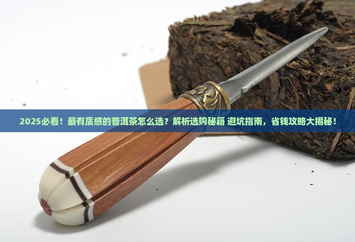 最有质感的普洱茶