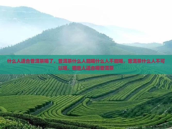 什么人适合普洱茶喝了