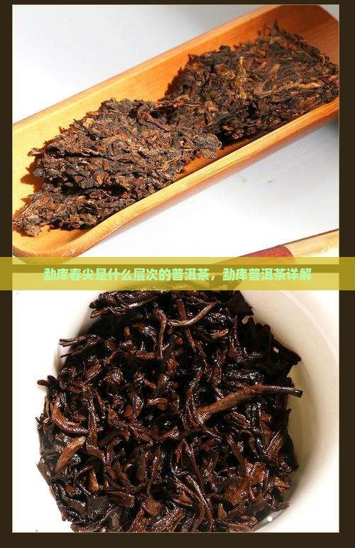 勐库春尖是什么层次的普洱茶