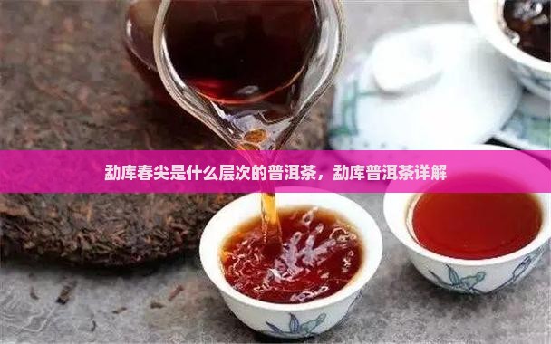 勐库春尖是什么层次的普洱茶