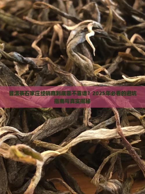 普洱茶石家庄经销商