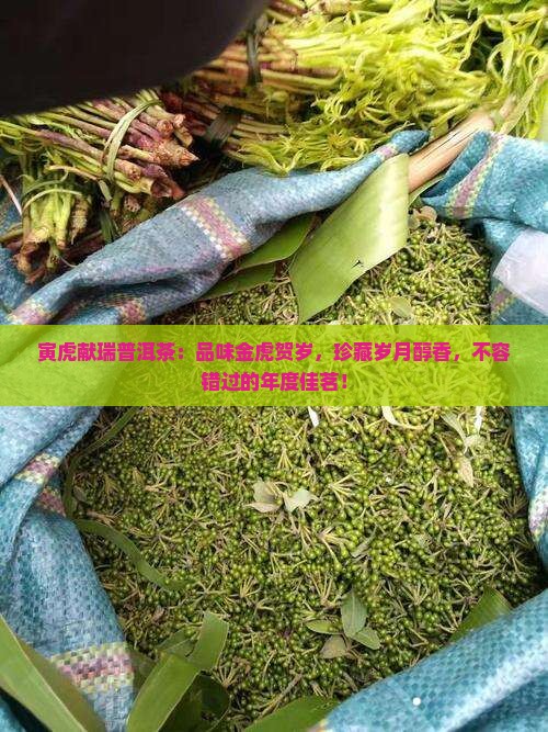 寅虎献瑞普洱茶