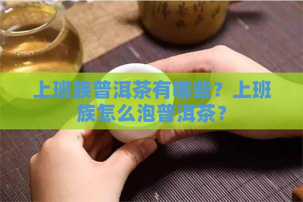 上班族普洱茶有哪些