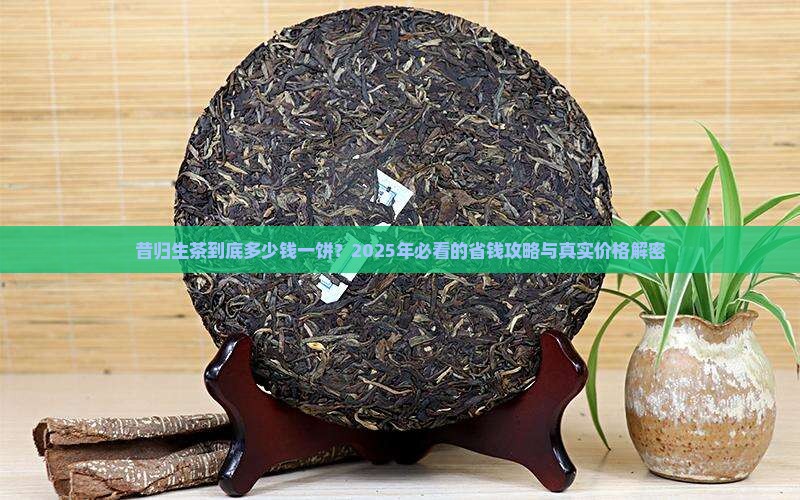 昔归生茶多少钱一饼