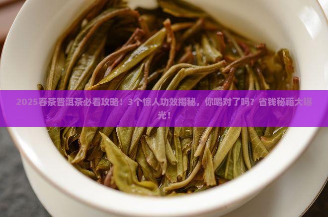 春茶普洱茶的功效