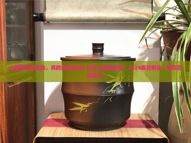 山西普洱茶龙珠