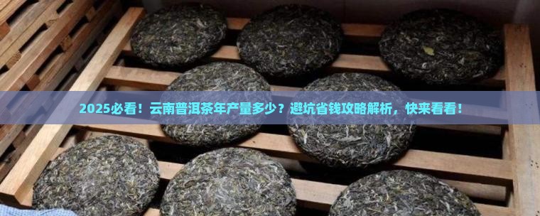 云南普洱茶年产量是多少