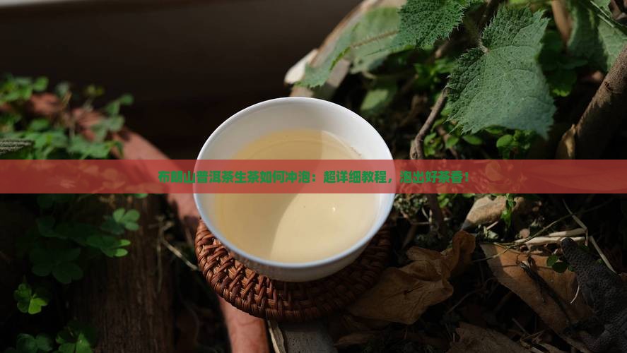 布朗山普洱茶生茶如何冲泡