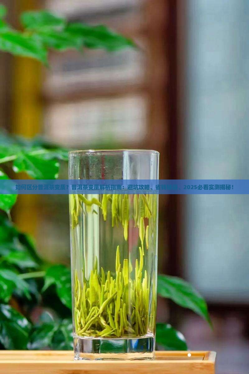 如何区分普洱茶变质