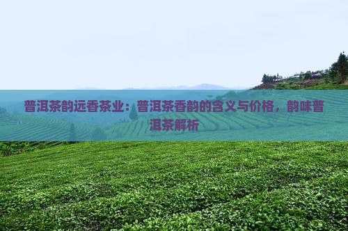 普洱茶韵远香茶业