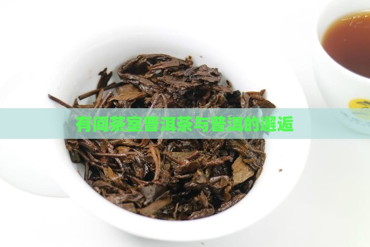 有间茶室普洱茶
