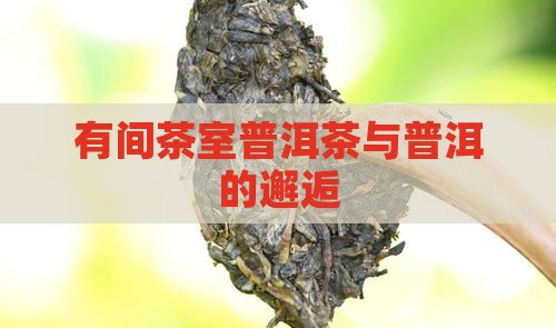 有间茶室普洱茶