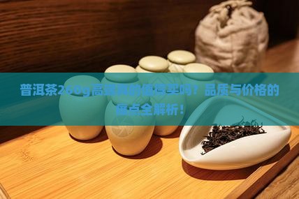 普洱茶260g高端