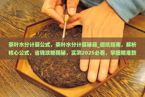 茶叶水分计算公式
