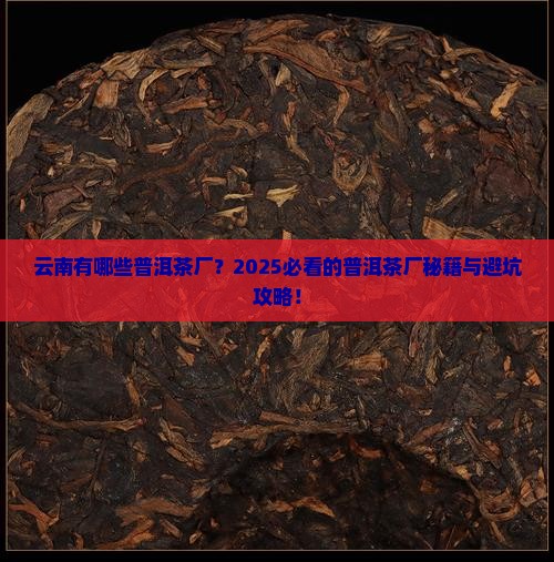 云南有哪些普洱茶厂