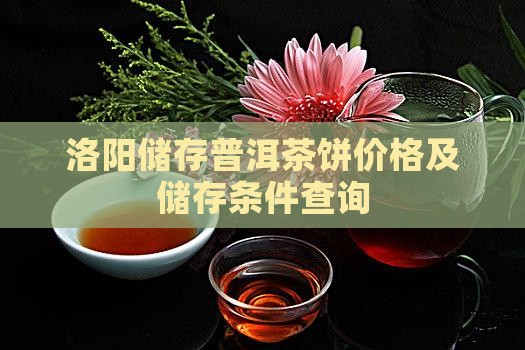 洛阳储存普洱茶饼价格