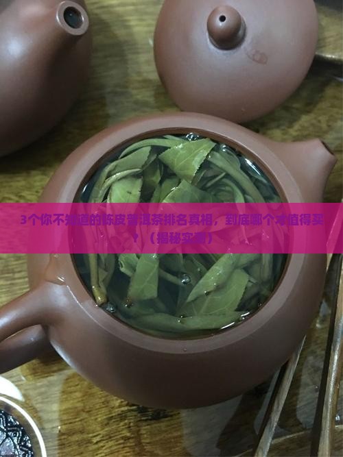 陈皮普洱茶排名