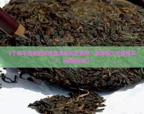 陈皮普洱茶排名