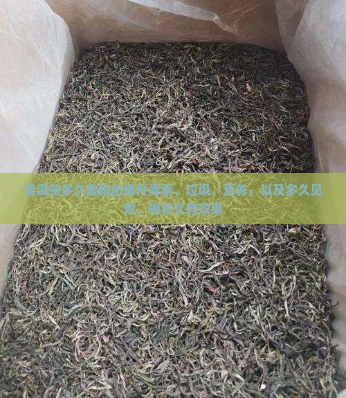 普洱茶多久能排出体外