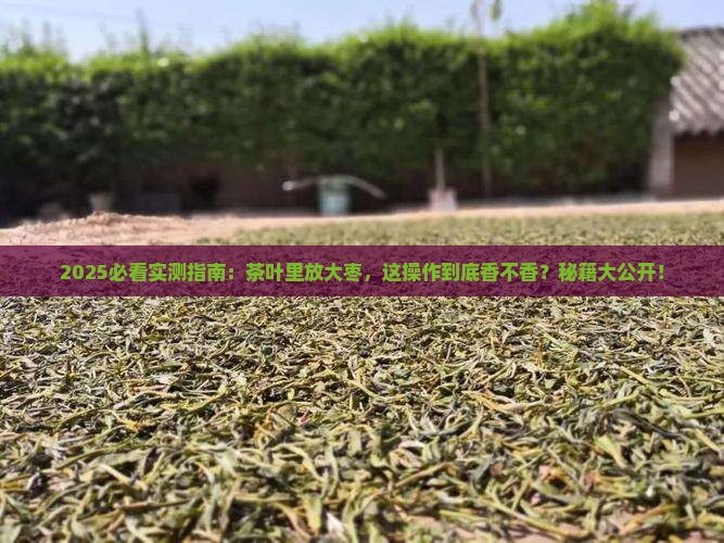 茶叶里可以放大枣吗