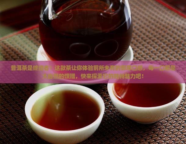 普洱茶是终结者