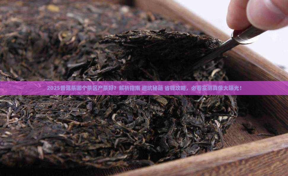 普洱茶哪个茶区产茶好