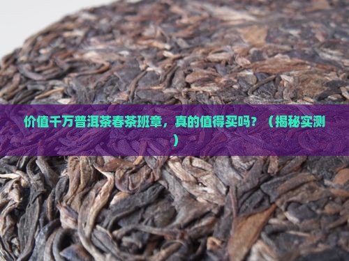 价值千万普洱茶春茶班章